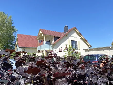 Haus Sterntaucher Whg 02