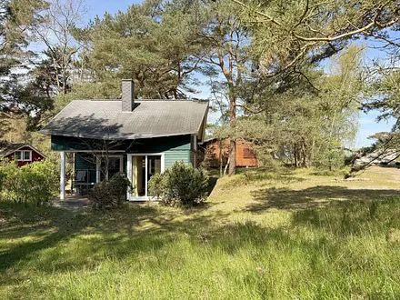 Strandhaus Dünenweg 17b umgeben von Kiefern