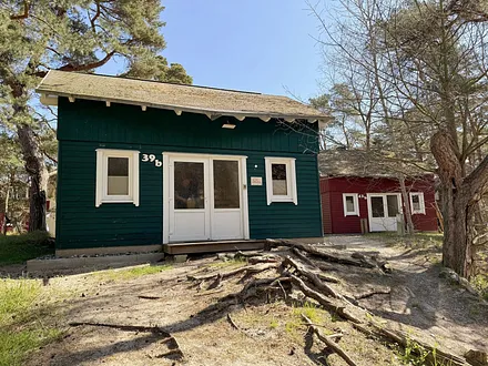 Strandhaus Dünenweg 39b - umgeben von Kiefern