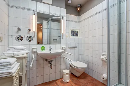 Dusche, WC, Waschbecken, Dachfenster