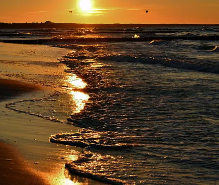 Strandspaziergang bei Sonnenuntergang 