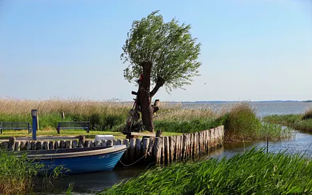 Zempiner Sportboothafen am Achterwasser
