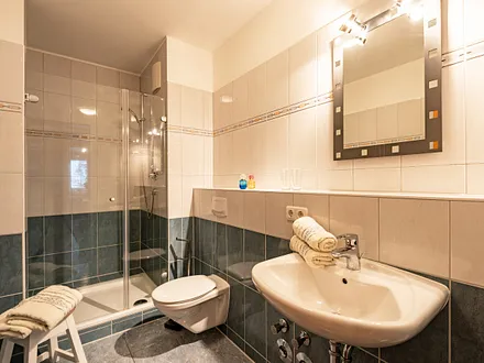 Das Bad mit Dusche, WC, Handtuchtrockner und Fön.