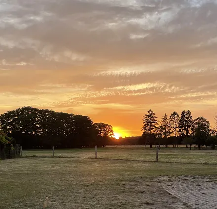 Blick von der Terrasse