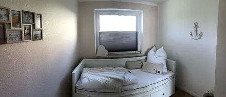 kleines Zimmer mit Ausziehbett
