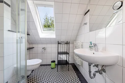 Das Bad mit Dusche und WC.