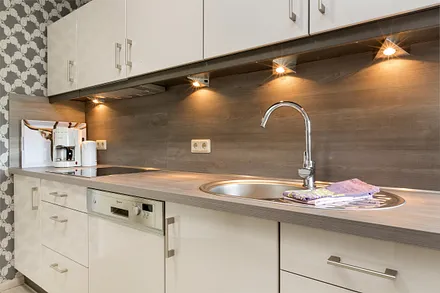 Die Küchenzeile mit Geschirrspüler, Kühlgefrierkombination etc ...