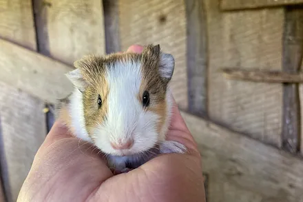 Hallo - ich bin schon 3 Tage alt!