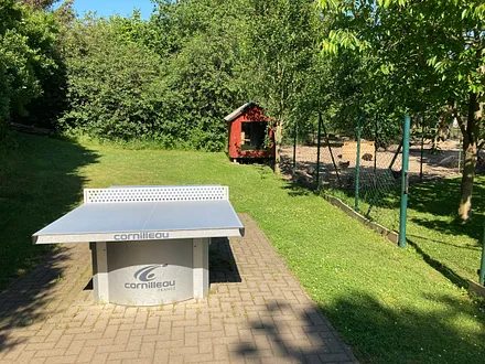 Die Tischtennisplatte am Hühnerauslauf.