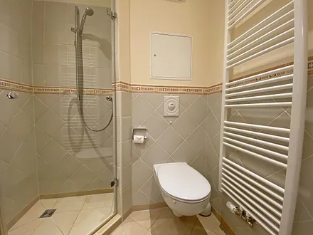 Badezimmer mit Dusche und Handtuchheizkörper