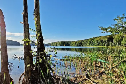 Korswandt und Umgebung