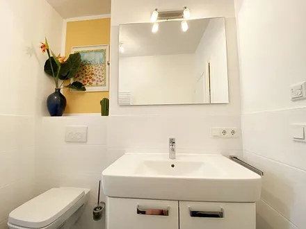 Tageslichtbad mit ebenerdiger Dusche, WC, Waschtisch, Handtuchtrockner, Fön, Kosmetikspiegel sowie genügend Abstellmöglichkeiten