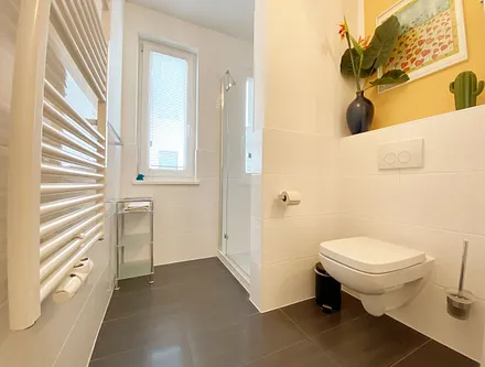 Tageslichtbad mit ebenerdiger Dusche, WC, Waschtisch, Handtuchtrockner, Fön, Kosmetikspiegel sowie genügend Abstellmöglichkeiten