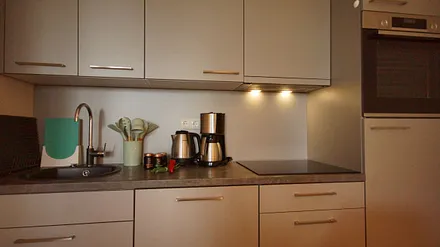 Küchenzeile mit Spülmaschine, Kühlschrank mit Eisfach, Backofen, Dunstabzugshaube, Wasserkocher, Kaffeemaschine, Toaster, Induktionsfeld und allerlei Küchenkleingeräte