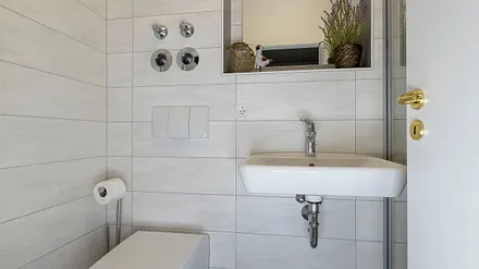 innenliegendes Badezimmer mit Dusche, WC, Fön sowie ein Waschplatz mit dazugehörigem Spiegel