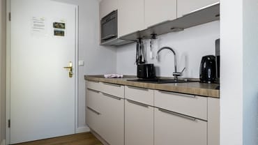 offene und voll ausgestattete Küchenzeile mit Spülmaschine, Kühlschrank mit Eisfach, Dunstabzugshaube, Wasserkocher, Kaffeemaschine, Toaster, Induktionsfeld und Mikrowelle