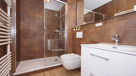 innenliegendes Badezimmer mit Dusche, WC, Fön sowie ein Waschplatz mit dazugehörigem Spiegel