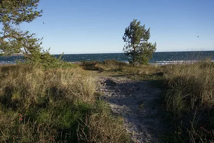 naturbelassene Strandzugänge