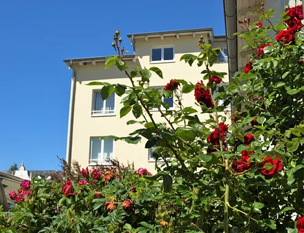 Das Haus Metropol von hinten