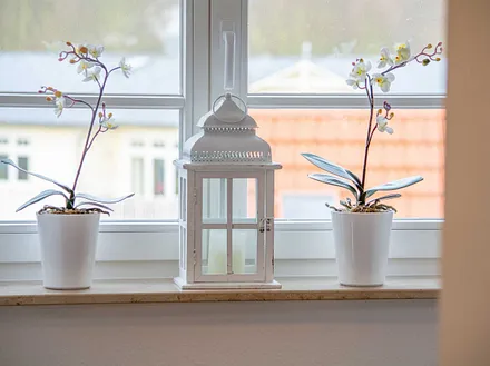 Der gemütliche Wohnbereich in der unteren Etage