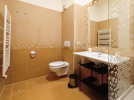 Das Bad mit Dusche und WC