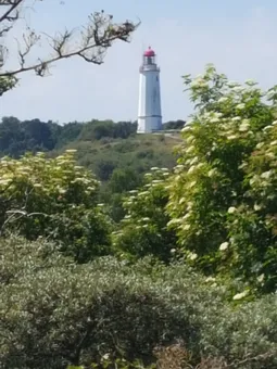mit dem Schiff nach Hiddensee