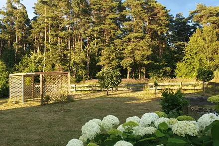 Garten und Waldblick