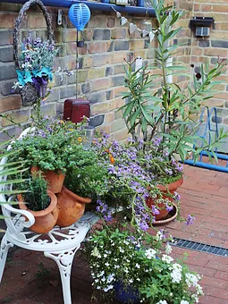 Blütenpracht im Sommer