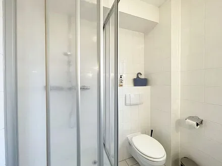 Tageslicht-Badezimmer mit Eck-Dusche, Fön, WC, beleuchteter Spiegel, Ablage, Waschplatz sowie ein Insektenschutzgitter