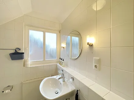 Tageslicht-Badezimmer mit Eck-Dusche, Fön, WC, Ablage, beleuchteter Spiegel, Waschplatz und ein Insektenschutzgitter