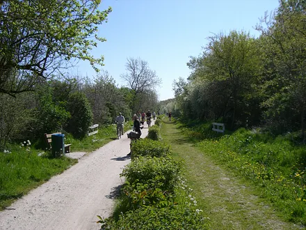 Rad-/Spazierweg zwischen Kühlungsborn nach Heiligendamm
