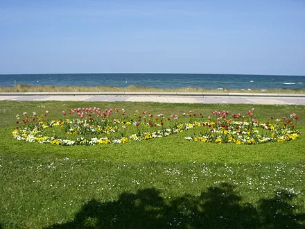 Frühling in Kühlungsborn