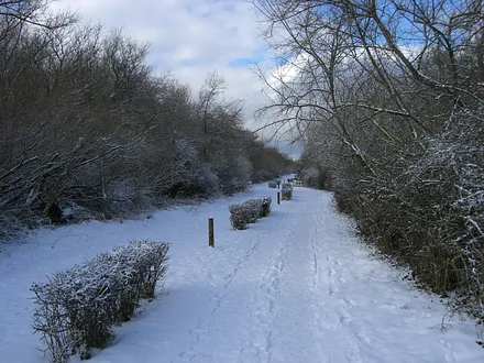Wanderweg im Winter zwischen Kühlungsborn und Heiligendamm