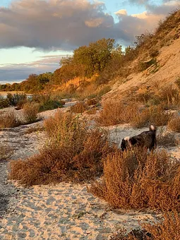 Herbst und Frühjahr am Südstrand von Göhren