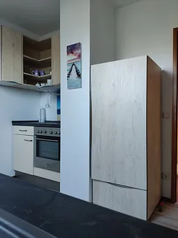 Backofen und Herd, Kühlschrank mit Gefrierfach 