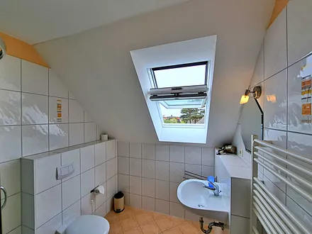 Tageslicht-Bad mit DU/WC