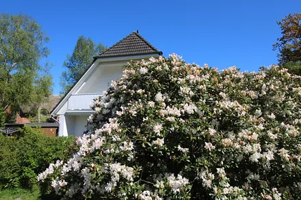 Blick aufs Haus/Garten