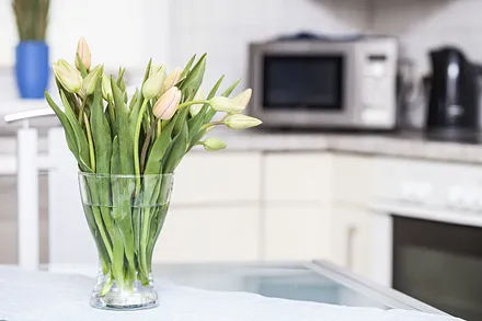 "Herzlich Willkommen"  in unserer Ferienwohnung 3 (FW3)