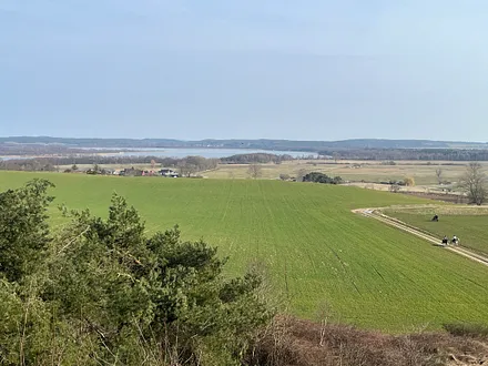 Blick vom Mühlenberg Benz