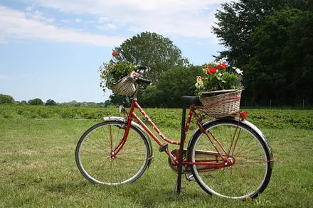 Lust auf Fahrradtour