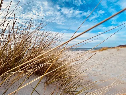 Dünen / Strand