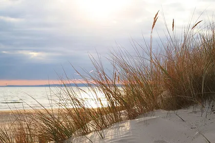 Dünen/Strand