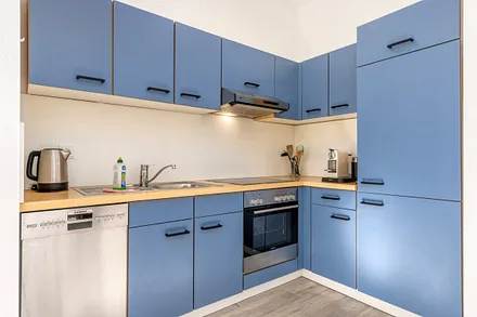 Die Küchenzeile mit Geschirrspüler und Backofen.