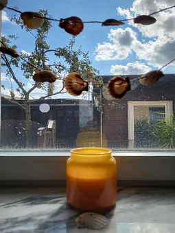 Blick aus dem Küchenfenster