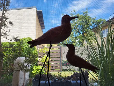 Blick aus dem Wohnzimmer