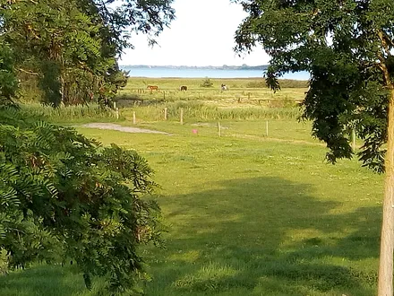 Seeblick zum Binnensee Bodden