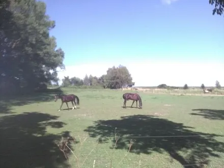 Pferdewiese 10m gegenüber