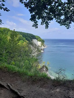 Blick zu den Kreidefelsen bei Sassnitz