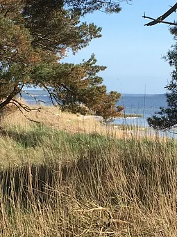 Glowe Boddenlandschaft ca. 2000m entf.