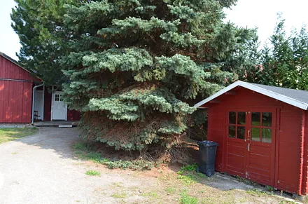 Schuppen zum Fahrrad unterstellen